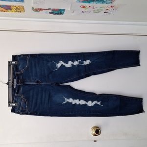 Womens Wild Fable High Rise Skinny Jeans sz 12